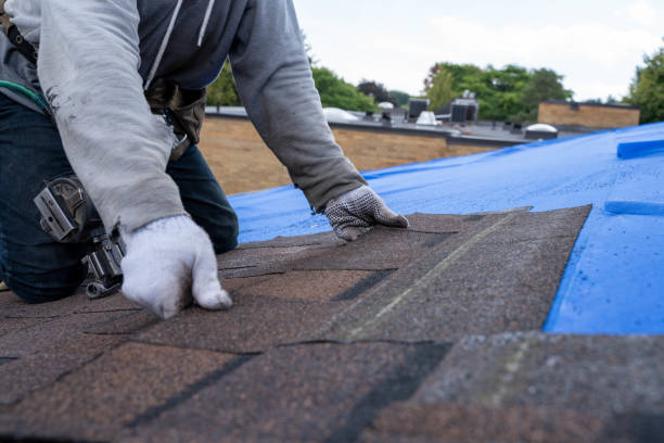 Best Commercial Roofing Services  in Posen, IL