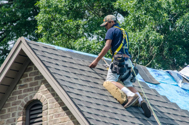 Sealant for Roof in Posen, IL